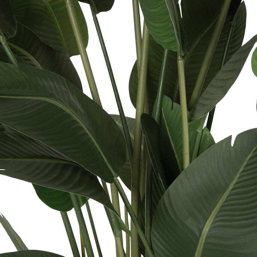 Zaya Planter